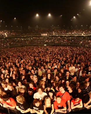 Warped Band - Tribute to Warped Tour