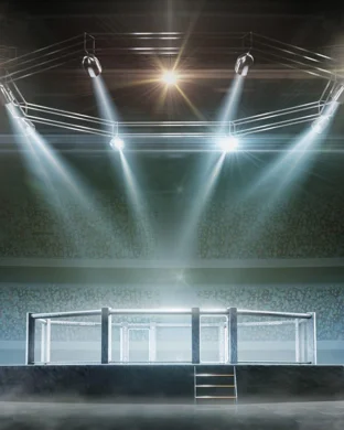 Future of Fighting 11